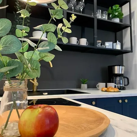 Apartament Botanica - Blisko Parku I Centrum - By Spaceapart イェレニャ・グーラ